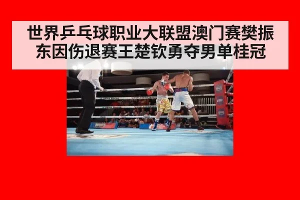 世界乒乓球职业大联盟澳门赛樊振东因伤退赛王楚钦勇夺男单桂冠