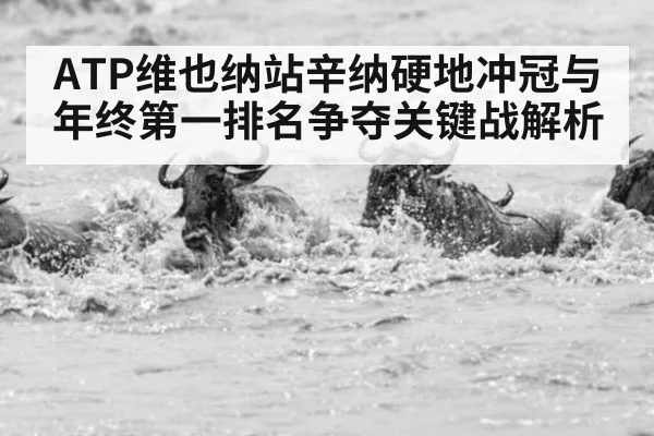 ATP维也纳站辛纳硬地冲冠与年终第一排名争夺关键战解析